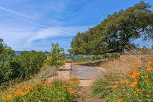 Single Family Residence, Chalk Hill road, Healdsburg, CA 95448 - 36