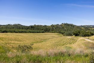Single Family Residence, Chalk Hill road, Healdsburg, CA 95448 - 73