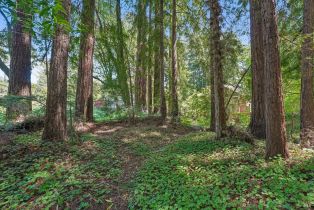 Single Family Residence, Wagnon road, Sebastopol, CA 95472 - 55