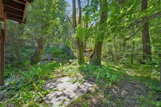 Single Family Residence, Wagnon road, Sebastopol, CA 95472 - 48