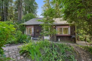 Single Family Residence, Wagnon road, Sebastopol, CA 95472 - 43