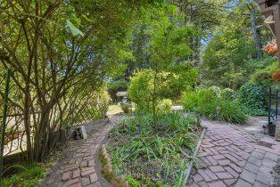 Single Family Residence, Wagnon road, Sebastopol, CA 95472 - 6