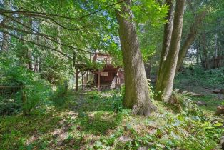 Single Family Residence, Wagnon road, Sebastopol, CA 95472 - 49