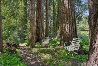 Single Family Residence, Wagnon road, Sebastopol, CA 95472 - 54