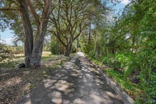 Single Family Residence, Hessel road, Sebastopol, CA 95472 - 50