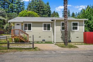 Single Family Residence, Highway 116 none, Russian River, CA 95462 - 40
