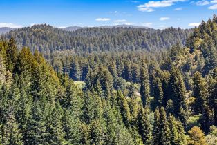Single Family Residence, Highway 116 none, Russian River, CA 95462 - 53