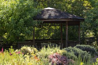 Single Family Residence,  Oak street, Calistoga, CA 94515 - 17