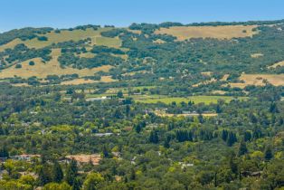 Single Family Residence, Mallard drive, Sonoma, CA 95476 - 10