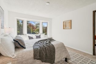 Single Family Residence,  Highway 1 none, Jenner, CA 95450 - 25