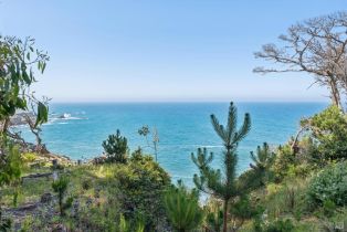 Single Family Residence,  Highway 1 none, Jenner, CA 95450 - 33