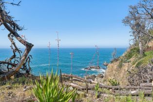 Single Family Residence,  Highway 1 none, Jenner, CA 95450 - 36