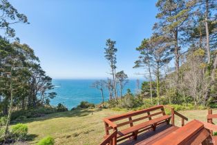 Single Family Residence,  Highway 1 none, Jenner, CA 95450 - 41