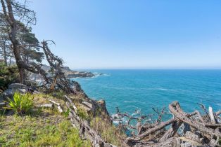 Single Family Residence,  Highway 1 none, Jenner, CA 95450 - 34