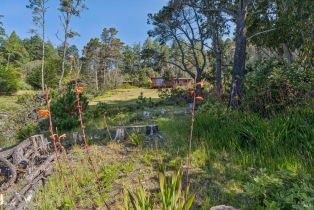 Single Family Residence,  Highway 1 none, Jenner, CA 95450 - 37