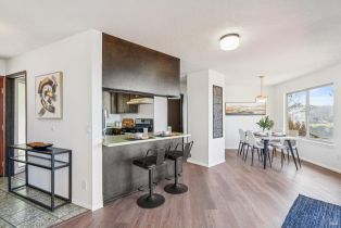 Single Family Residence,  Highway 1 none, Jenner, CA 95450 - 18