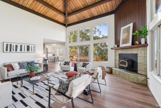 Single Family Residence,  Highway 1 none, Jenner, CA 95450 - 8