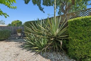 Single Family Residence, Jeffrey drive, Petaluma, CA 94954 - 25