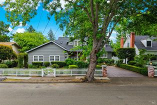 Single Family Residence,  2nd street, Sonoma, CA 95476 - 83