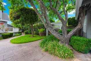 Single Family Residence,  2nd street, Sonoma, CA 95476 - 75