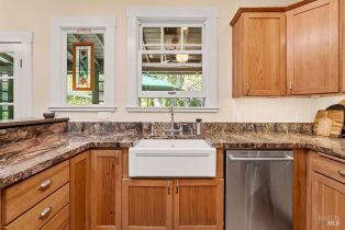 Single Family Residence, North street, Healdsburg, CA 95448 - 18