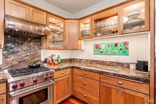 Single Family Residence, North street, Healdsburg, CA 95448 - 14