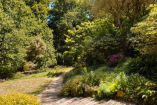 Single Family Residence,  White Alder none, Sonoma, CA 95476 - 38