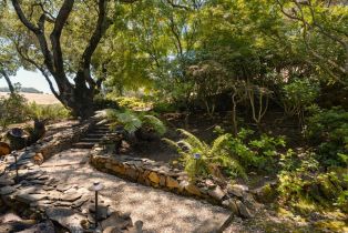 Single Family Residence,  White Alder none, Sonoma, CA 95476 - 40