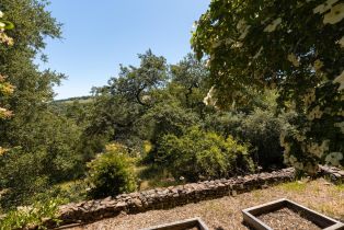 Single Family Residence,  White Alder none, Sonoma, CA 95476 - 43