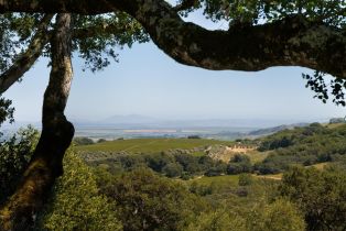 Single Family Residence,  White Alder none, Sonoma, CA 95476 - 3