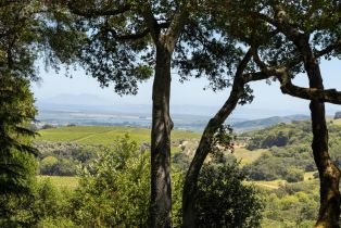 Single Family Residence,  White Alder none, Sonoma, CA 95476 - 33
