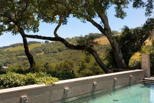 Single Family Residence,  White Alder none, Sonoma, CA 95476 - 32