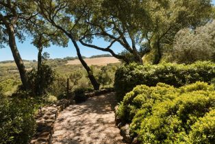 Single Family Residence,  White Alder none, Sonoma, CA 95476 - 39