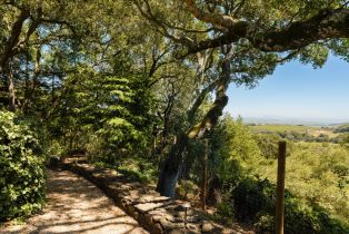 Single Family Residence,  White Alder none, Sonoma, CA 95476 - 41