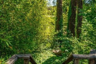 Single Family Residence,  Odonnell lane, Glen Ellen, CA 95442 - 51