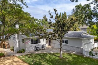 Single Family Residence, Cottonwood avenue, Sonoma, CA 95476 - 28