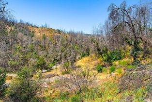 Residential Acreage,  St Helena road, Santa Rosa, CA 95404 - 19
