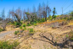 Residential Acreage,  St Helena road, Santa Rosa, CA 95404 - 13