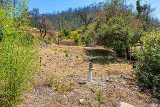 Residential Acreage,  St Helena road, Santa Rosa, CA 95404 - 16