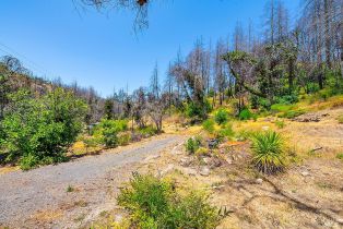 Residential Acreage,  St Helena road, Santa Rosa, CA 95404 - 9