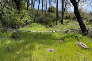 Residential Acreage,  St Helena road, Santa Rosa, CA 95404 - 7