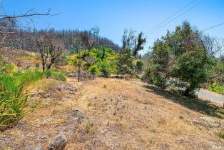 Residential Acreage,  St Helena road, Santa Rosa, CA 95404 - 15
