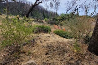 Residential Acreage,  St Helena road, Santa Rosa, CA 95404 - 20