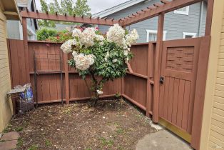 Single Family Residence,  F street, Petaluma, CA 94952 - 36