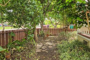 Single Family Residence,  F street, Petaluma, CA 94952 - 33