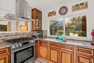 Single Family Residence, 16635 Neeley road, Russian River, CA 95446 - 27