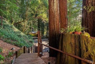Single Family Residence, 16635 Neeley road, Russian River, CA 95446 - 15