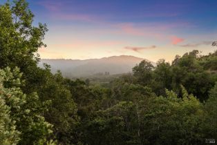 Single Family Residence,  Flicker Hill drive, Glen Ellen, CA 95442 - 56
