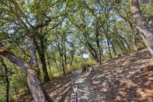 Single Family Residence,  Flicker Hill drive, Glen Ellen, CA 95442 - 41