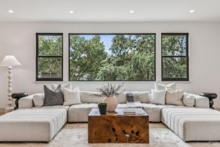Single Family Residence, Denmark street, Sonoma, CA 95476 - 60